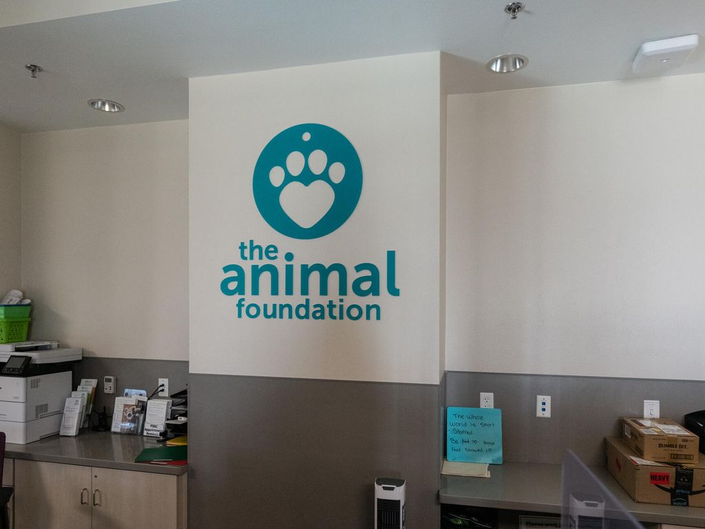 A teal wall graphic for The Animal Foundation featuring a paw print with a heart inside, displayed in an office interior.